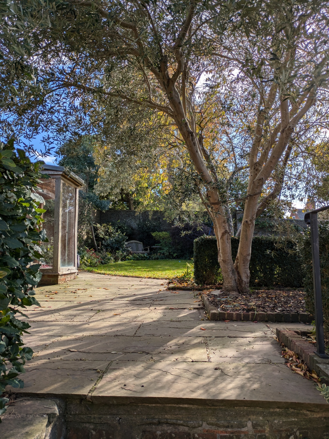 A beautiful garden with an outbuilding at golden hour